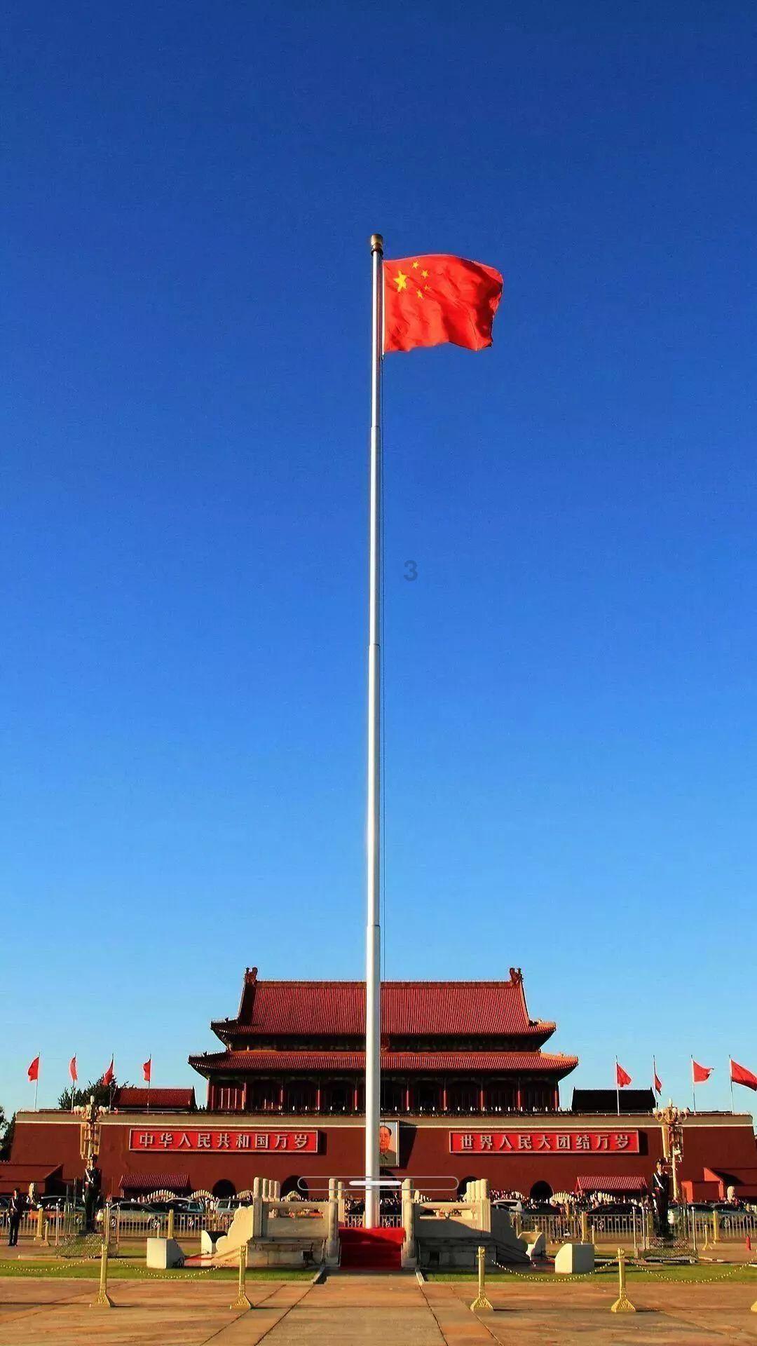 可爱的小考拉